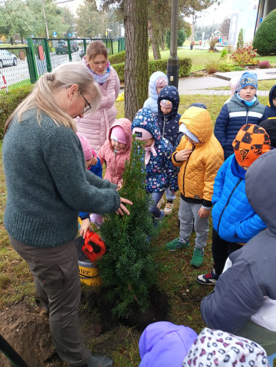 grafika do wpisu: Spotkanie z Panią Leśnik i Dzień Drzewa