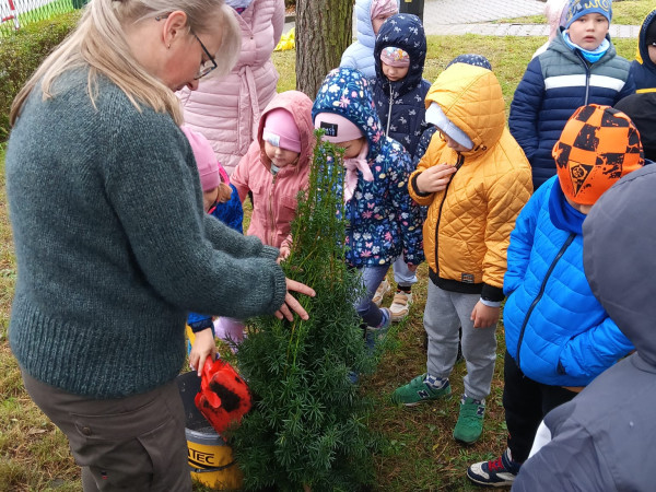 Spotkanie z Panią Leśnik i Dzień Drzewa