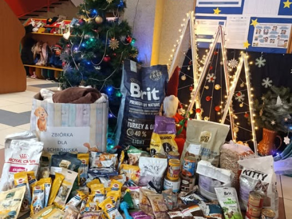 Podziękowania - zbiórkę na  rzecz schronisko