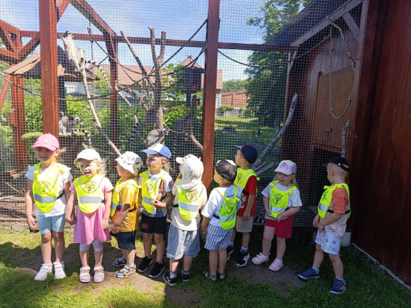  Park Przygód i Atrakcji " Alele"