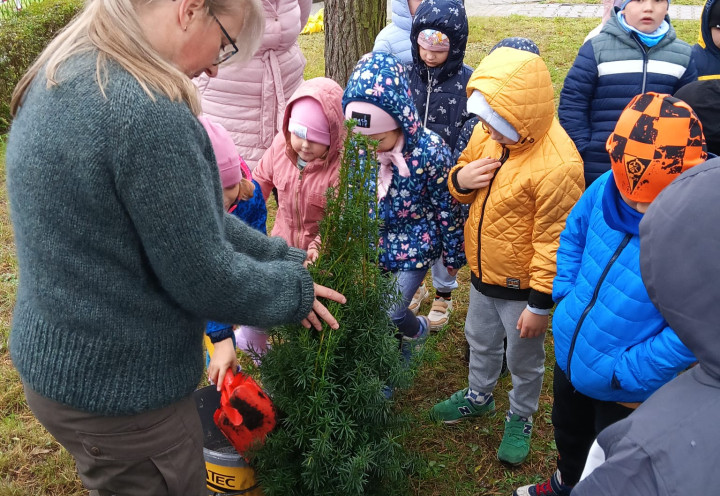 Spotkanie z Panią Leśnik i Dzień Drzewa
